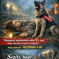 FB_IMG_1771347974509 